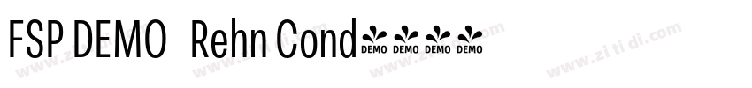 FSP DEMO   Rehn Cond字体转换